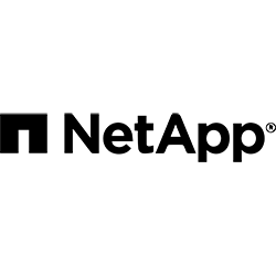 Logo pequeño partner NetApp